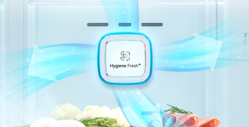 فیلتر بهداشتی +™ Hygiene Fresh در یخچال ساید ال جی 337