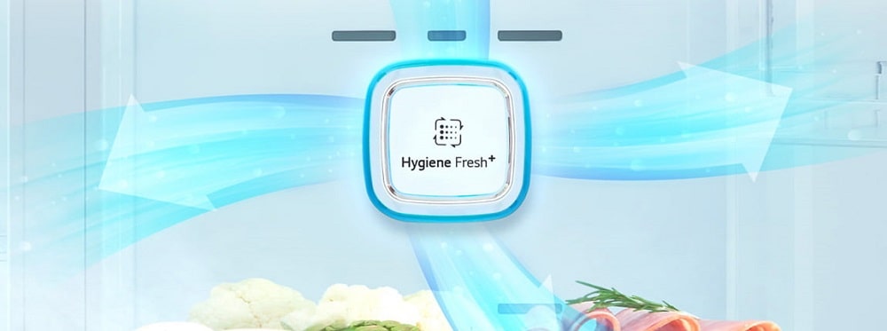 فیلتر بهداشتی ™+Hygiene FRESH 